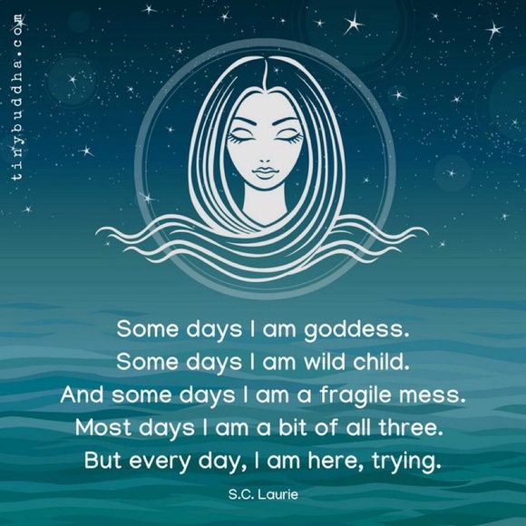 Meet your Posher, Sally - Picture 7 of 16